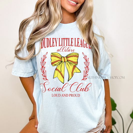 Dudley Softball Allstar Mom Social Club