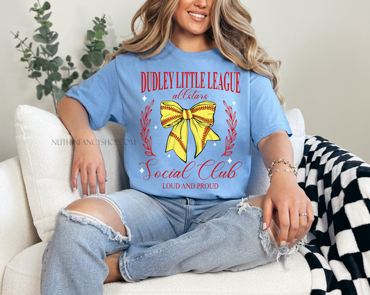 Dudley Softball Allstar Mom Social Club