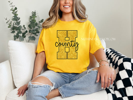 FAUX Glitter Harris County