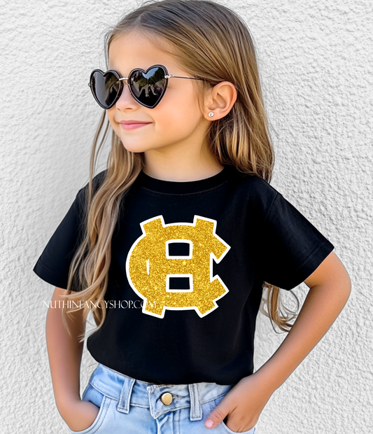 HC Faux Glitter Harris County Logo on Black