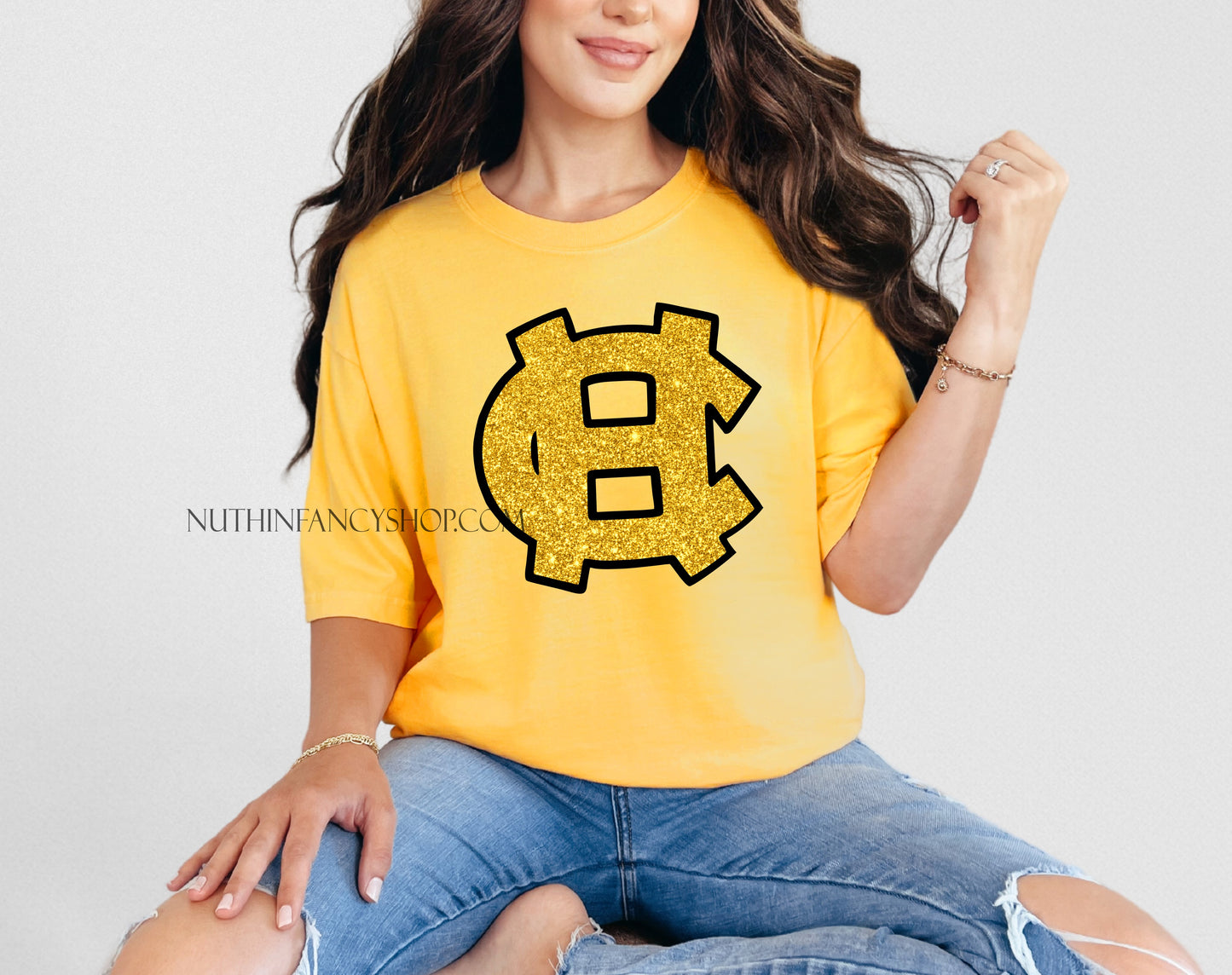 HC FAUX Harris County Glitter Logo