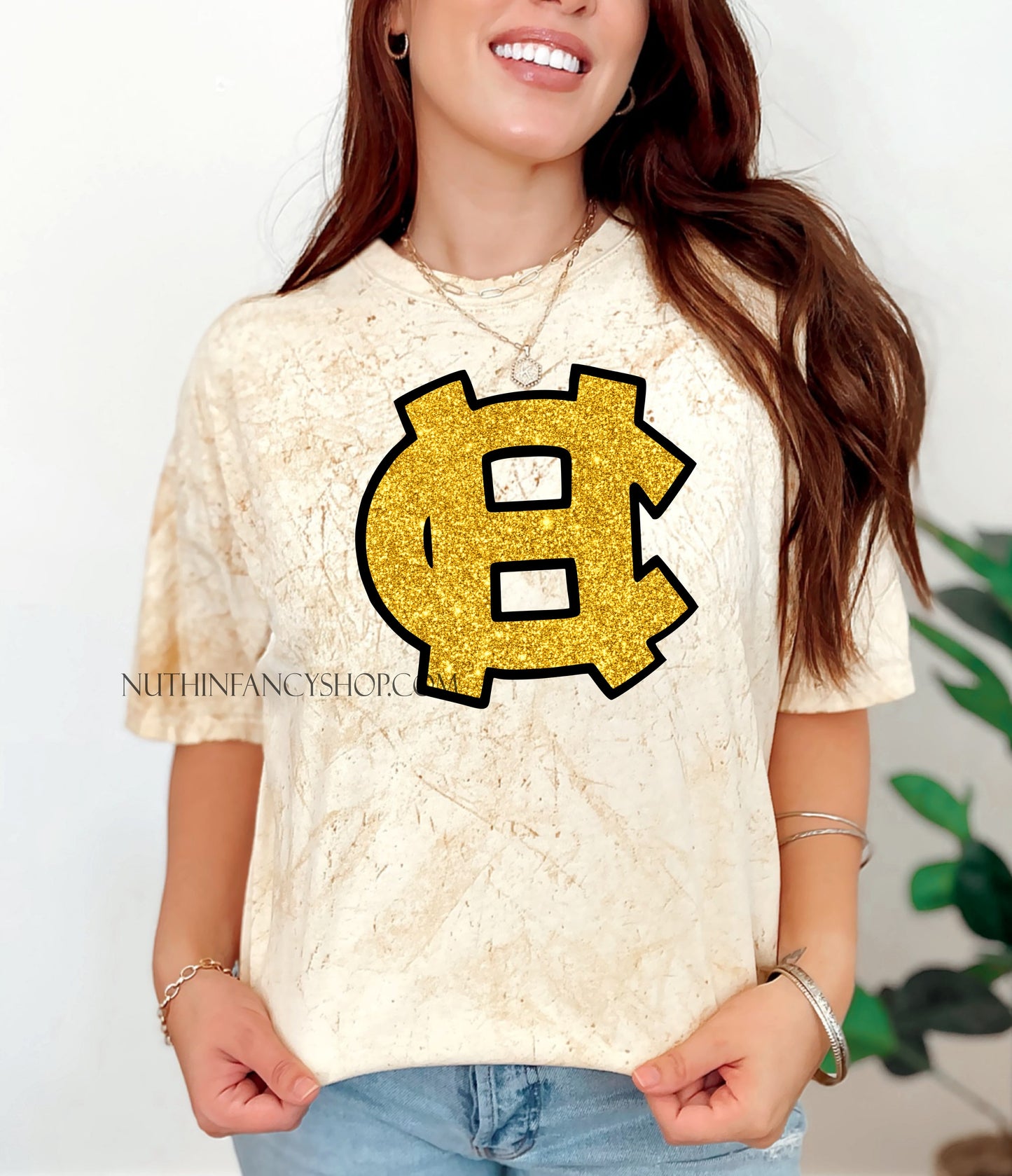 HC FAUX Harris County Glitter Logo