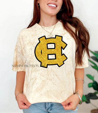 HC FAUX Harris County Glitter Logo