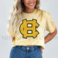 HC FAUX Harris County Glitter Logo